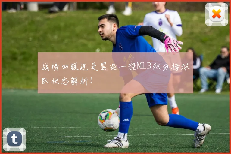 战绩回暖还是昙花一现MLB积分榜球队状态解析！